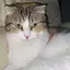 まつよのプロフィール画像