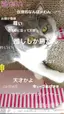 めいのプロフィール画像