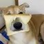 なっちのプロフィール画像