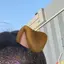 87のプロフィール画像