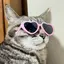 すんのプロフィール画像