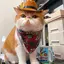 ナツのプロフィール画像