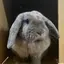 リオのプロフィール画像