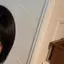 しぃのプロフィール画像