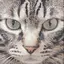 しずくのプロフィール画像
