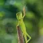 愛斗のプロフィール画像