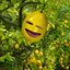 ちゃろのプロフィール画像