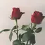 ほちのプロフィール画像