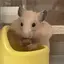 おゆのプロフィール画像
