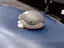 よしのプロフィール画像