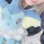 いらのプロフィール画像