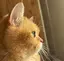 りょうのプロフィール画像