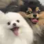 Aのプロフィール画像