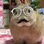 るなのプロフィール画像