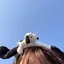 りんごのプロフィール画像