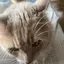 さのプロフィール画像