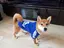 masakoのプロフィール画像