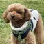 もねのプロフィール画像