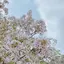 naoのプロフィール画像