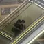 優心のプロフィール画像