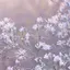ゆのプロフィール画像