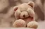 ゆきのプロフィール画像
