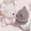 momoのプロフィール画像