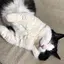 アムライのプロフィール画像