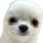 ありさのプロフィール画像