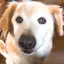 えーりんのプロフィール画像