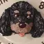 miiのプロフィール画像