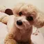 みーちゃそのプロフィール画像