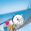 やんやんのプロフィール画像