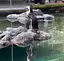 ひとみのプロフィール画像