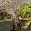 しおんのプロフィール画像