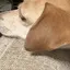 なおのプロフィール画像