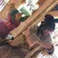 yuriのプロフィール画像