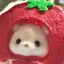 shihoのプロフィール画像