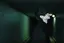 /ch/noseのプロフィール画像