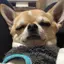 y.nのプロフィール画像