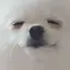 くろちゃんのプロフィール画像