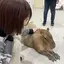 ちいちゃんのプロフィール画像