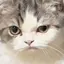 😸ニのプロフィール画像