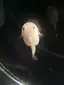 綾乃のプロフィール画像