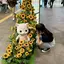 姫のプロフィール画像