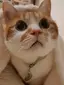 なななのプロフィール画像