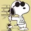 Ycstのプロフィール画像