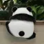 ◡̈のプロフィール画像