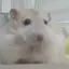 ゆづきのプロフィール画像