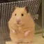 のののプロフィール画像